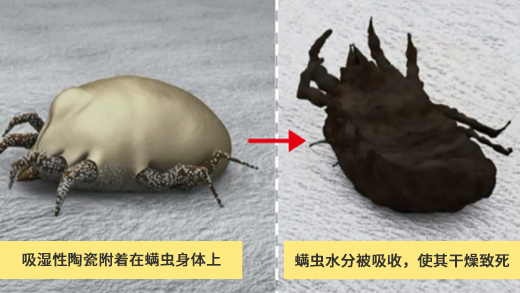 ②ダニの弱点「乾燥」で退治する