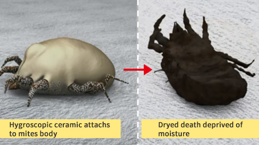 ②ダニの弱点「乾燥」で退治する