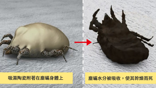 ②ダニの弱点「乾燥」で退治する