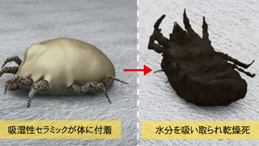 ②ダニの弱点｢乾燥｣で退治する