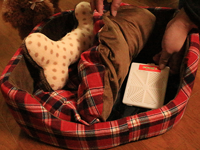 ダニ捕りロボペットハウスに設置