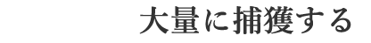 ①ダニを大量に捕獲する