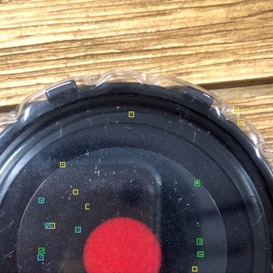 複数のダニの存在を確認できた画像