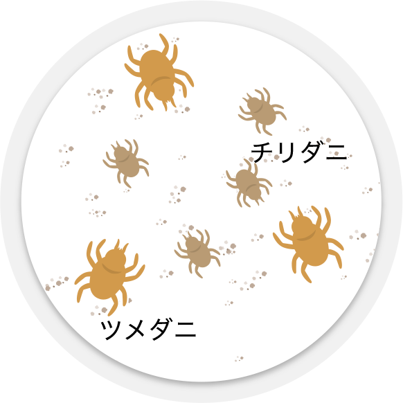 チリダニ、ツメダニが共存しているイラスト